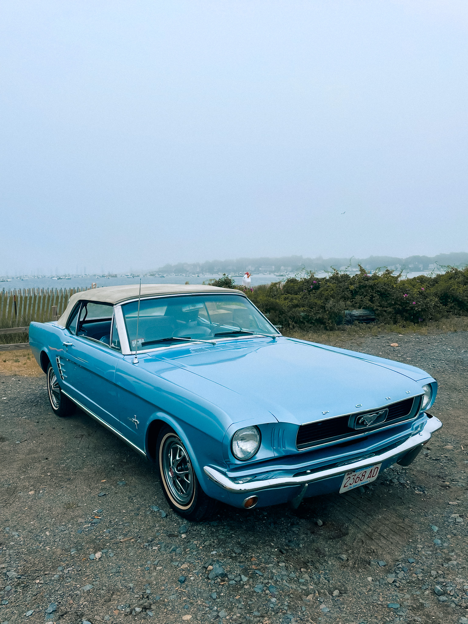 Classic Ford Mustang parked near the harbor in Marblehead Massachusetts